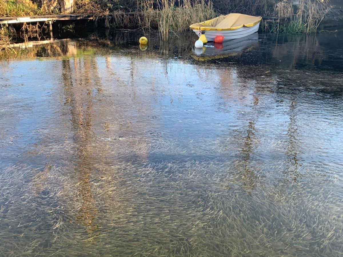 Topart Apartman I Balatonfenyves Zewnętrze zdjęcie