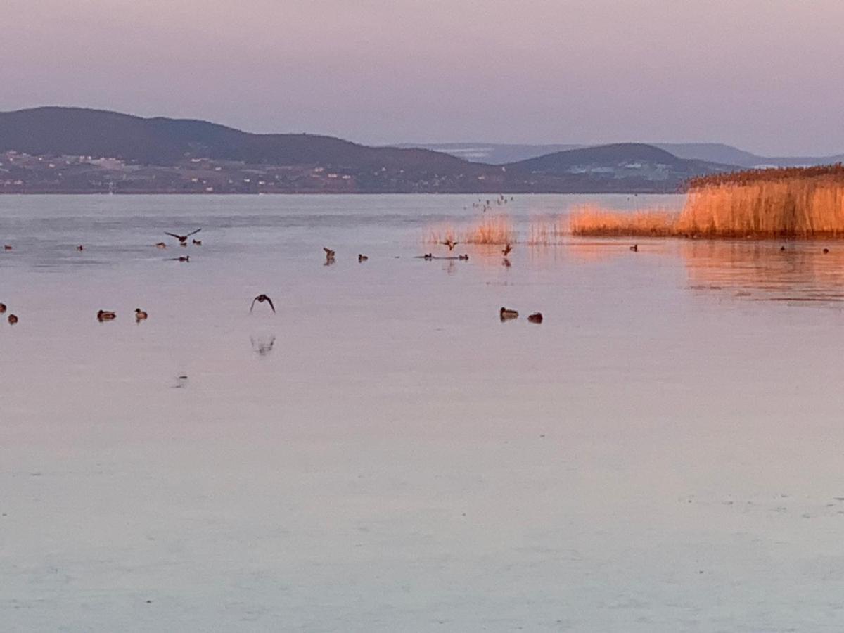 Topart Apartman I Balatonfenyves Zewnętrze zdjęcie