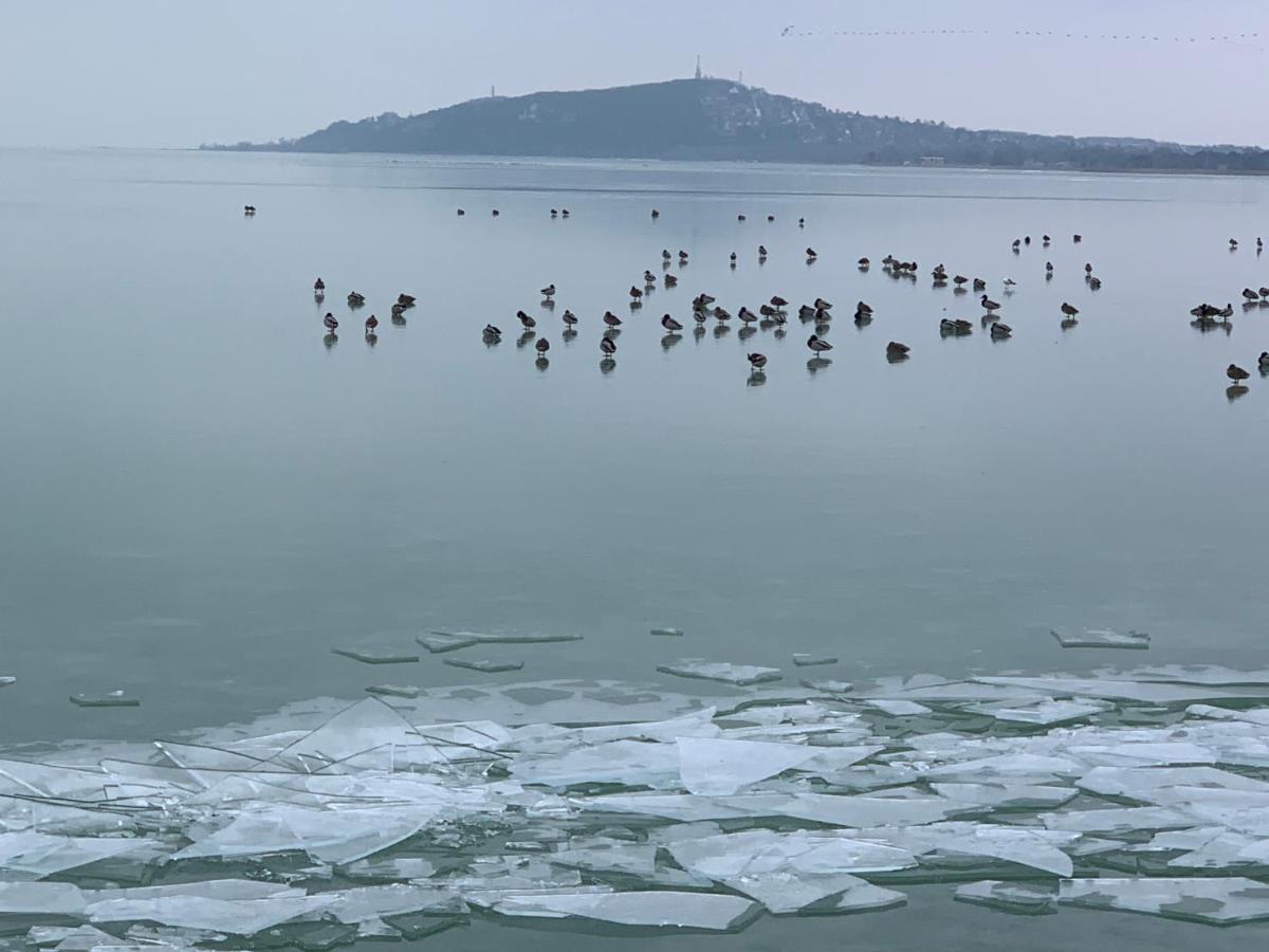 Topart Apartman I Balatonfenyves Zewnętrze zdjęcie